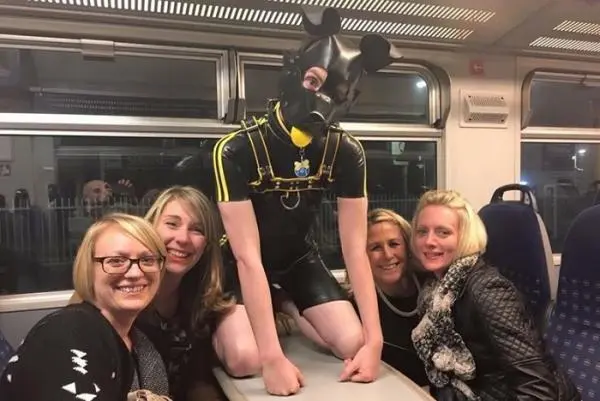西檬之家K9犬系是什么意思? 一