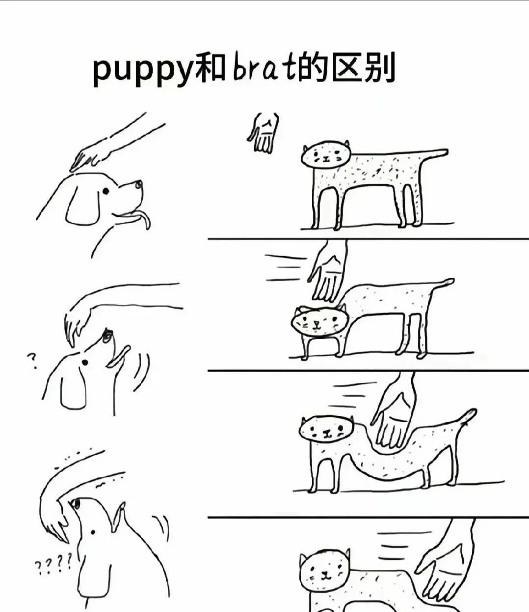西檬之家CD是指什么?字母圈跨性装扮入门 一