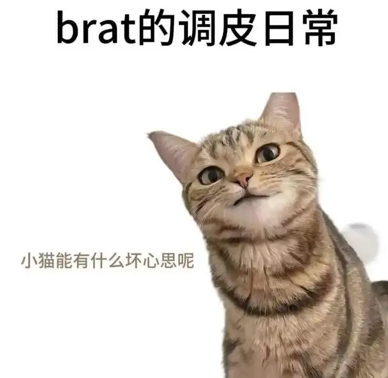 西檬之家字母圈K8是什么意思? 一