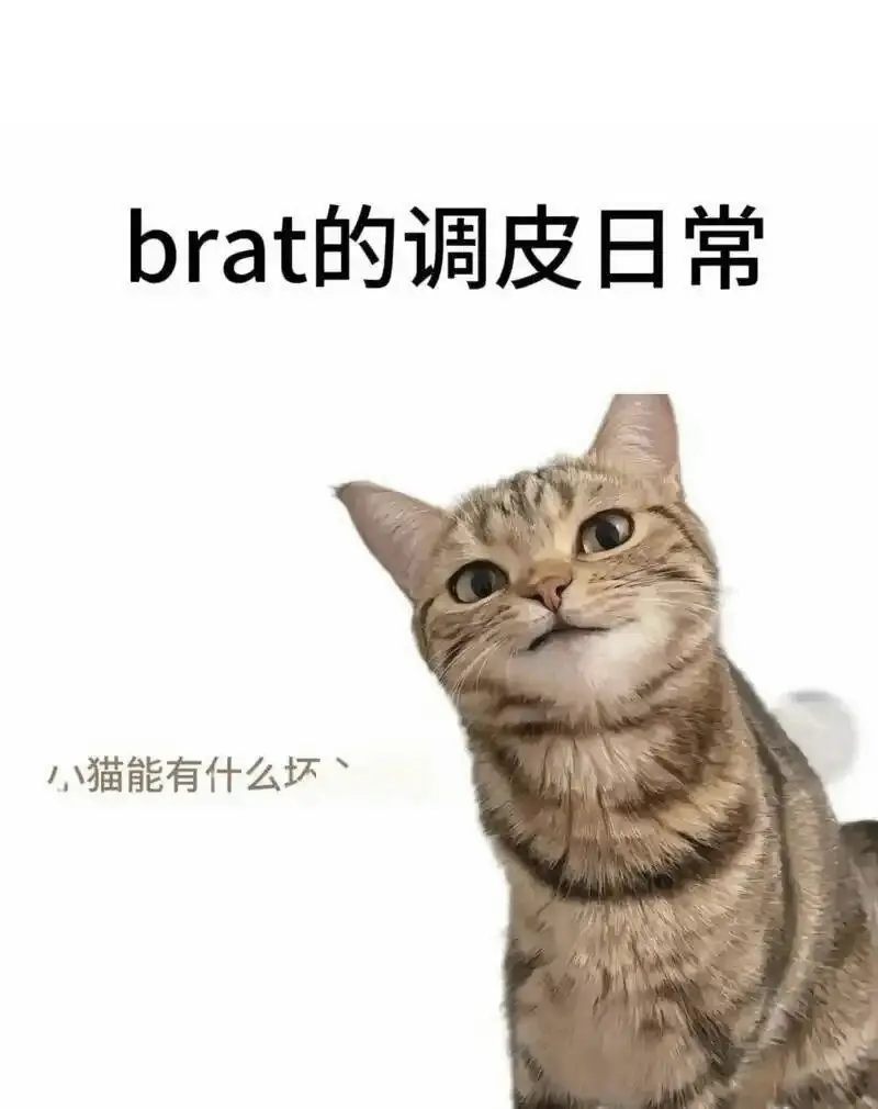 西檬之家sp小圈新人如何入门? 一