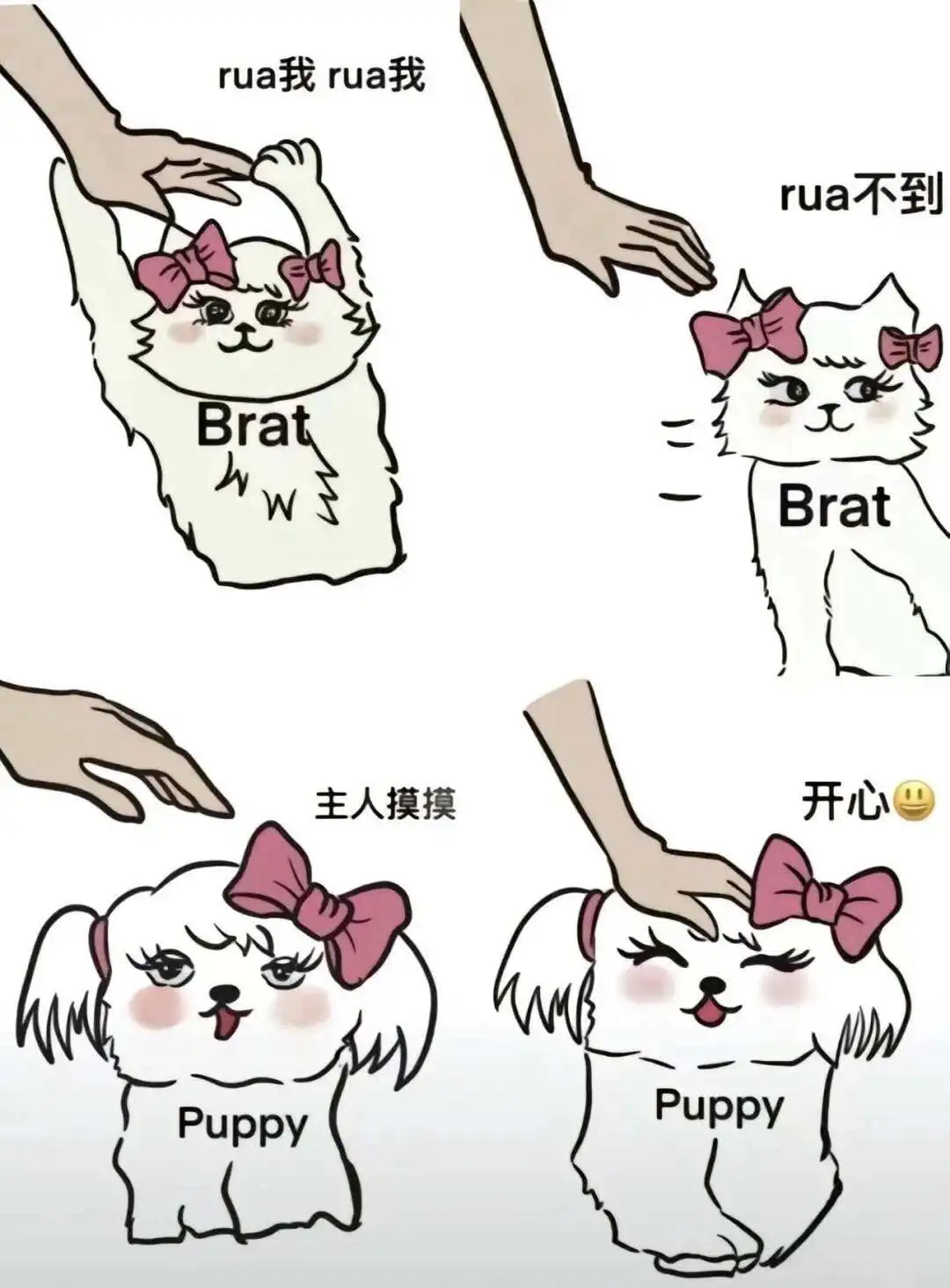 西檬之家圣水是什么?字母圈新人如何入圈 一