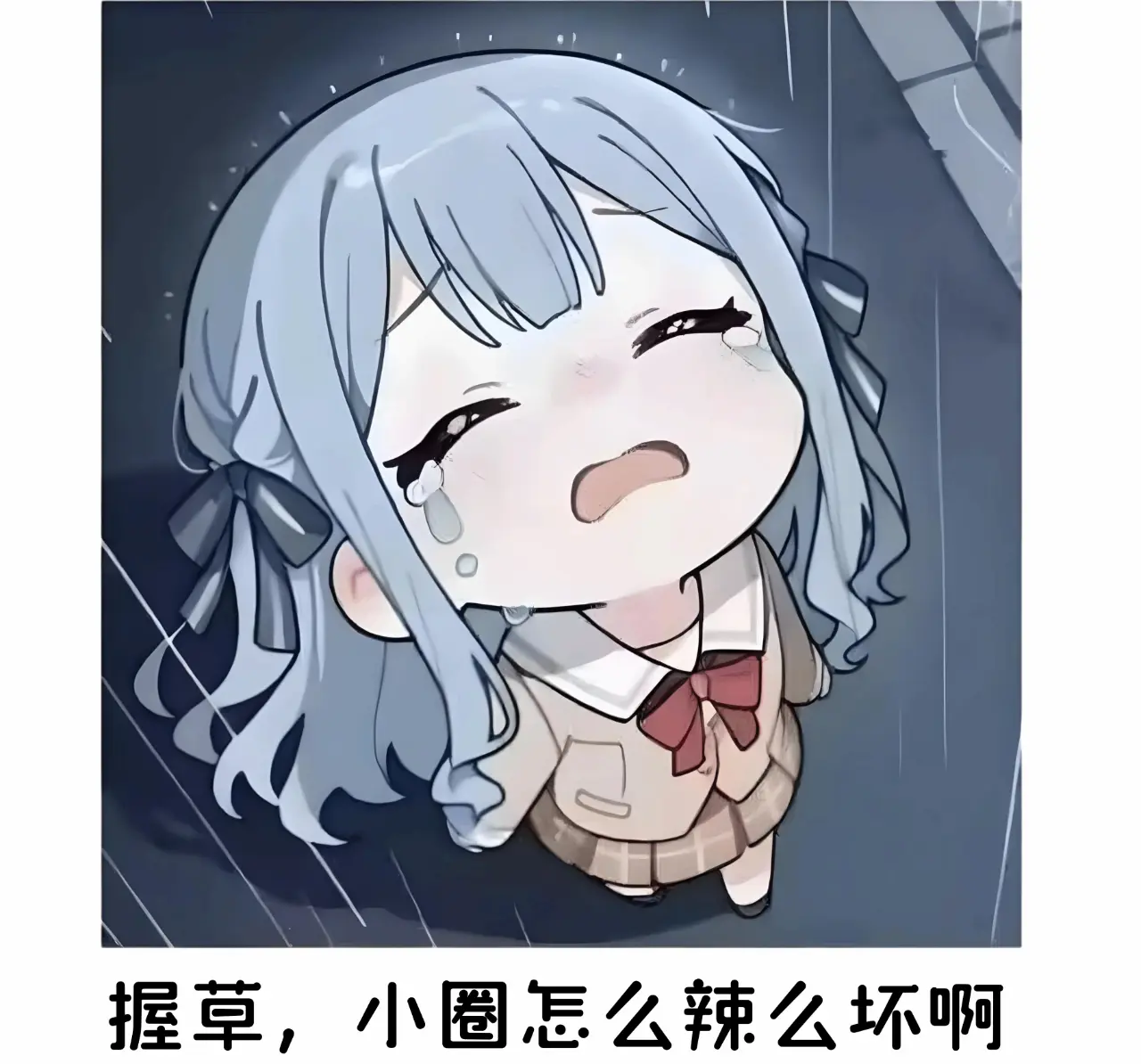 西檬之家TS是什么意思?字母圈新人必读 一