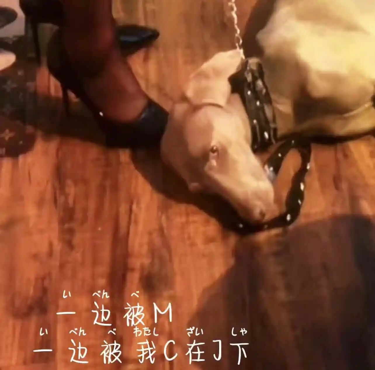 西檬之家恋物癖是什么?字母圈新人入圈指南 一