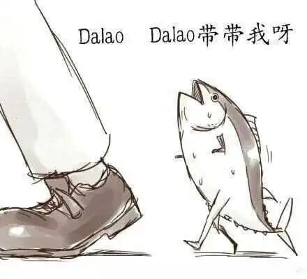 西檬之家k8猫系是什么?你的字母圈属性 一