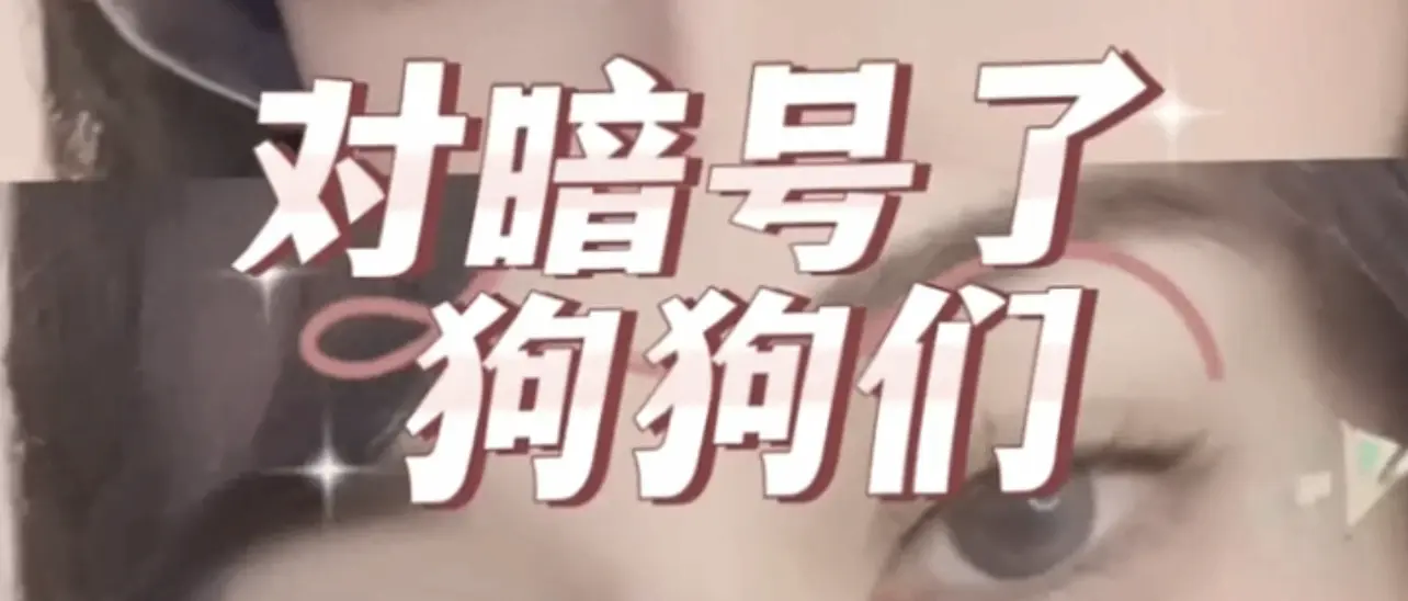 西檬之家字母圈中的Dom是什么意思? 一