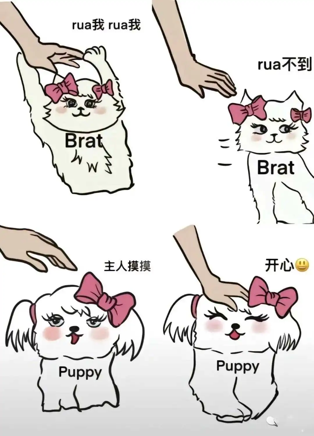西檬之家圣水是什么?字母圈新人入圈必知 一